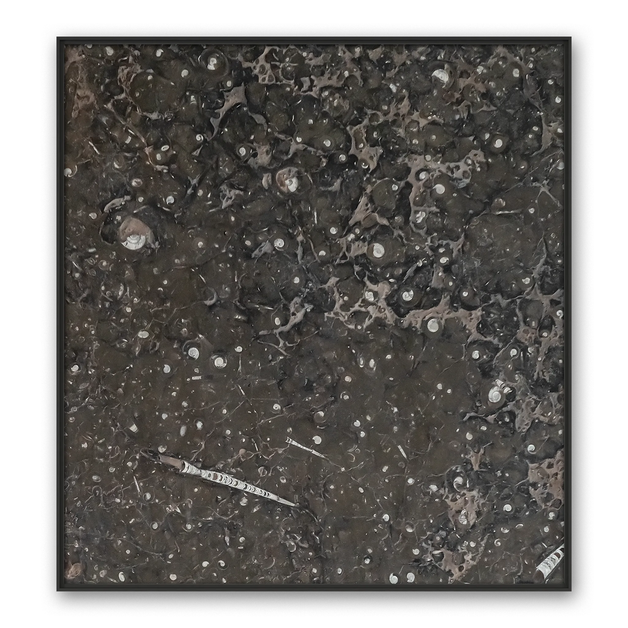 Conflata Aqua Conflata Aqua