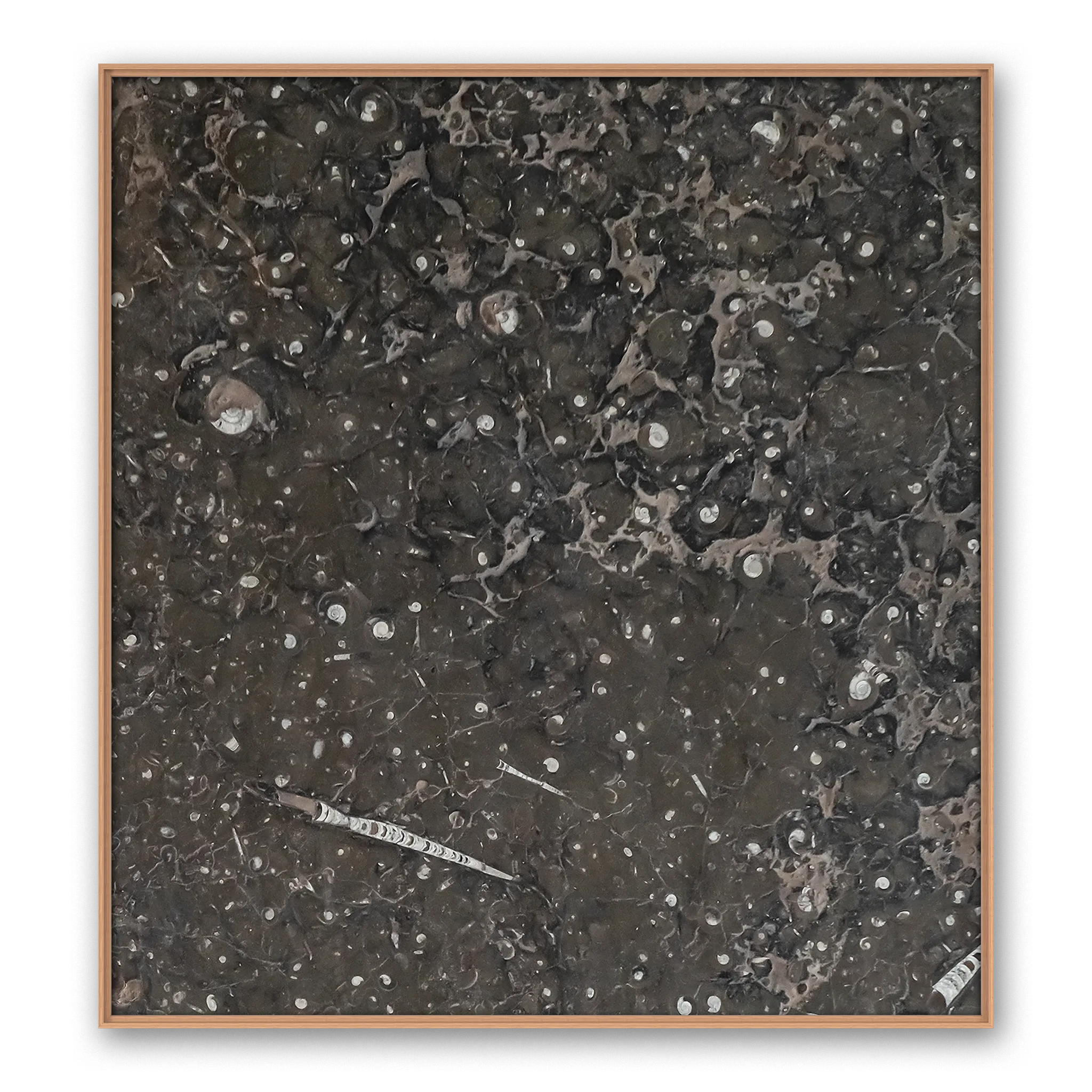 Conflata Aqua Conflata Aqua